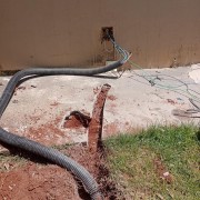 Sitio - IMG-20240329-WA0206