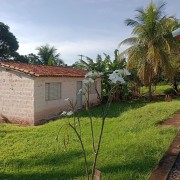 Sitio - IMG-20240329-WA0209