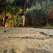 Câmara Municipal de Votuporanga - IMG-20241230-WA0026