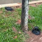 Câmara Municipal de Votuporanga - IMG-20241230-WA0035