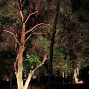 Condominio Residencial Vila Lobos - WhatsApp Image 2025-08-11 at 19.54.51 (2)