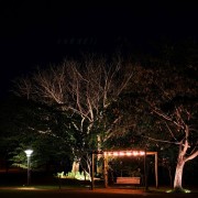 Condominio Residencial Vila Lobos - WhatsApp Image 2025-08-11 at 19.54.53 (2)