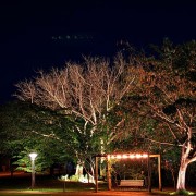 Condominio Residencial Vila Lobos - WhatsApp Image 2025-08-11 at 19.54.54